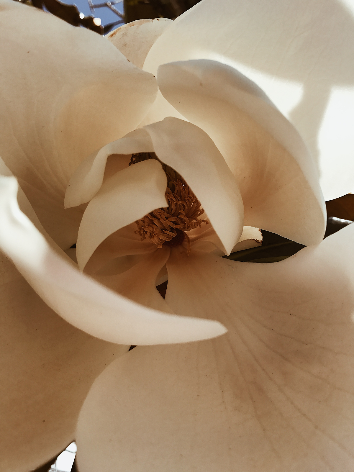 Instagram image placeholder