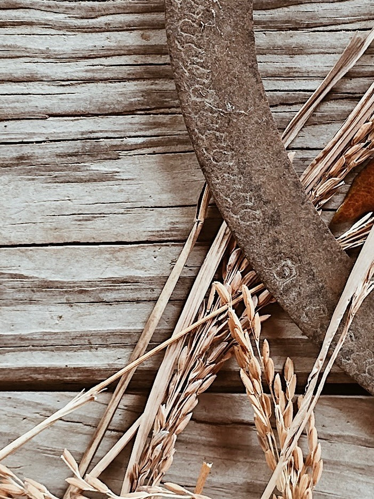 Instagram image placeholder