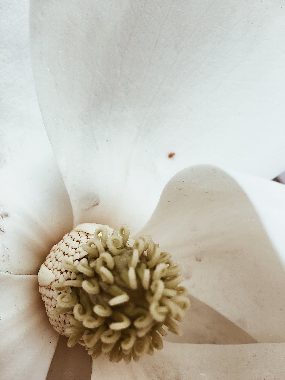 Instagram image placeholder